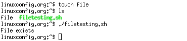 Bash File Testing - File exists
