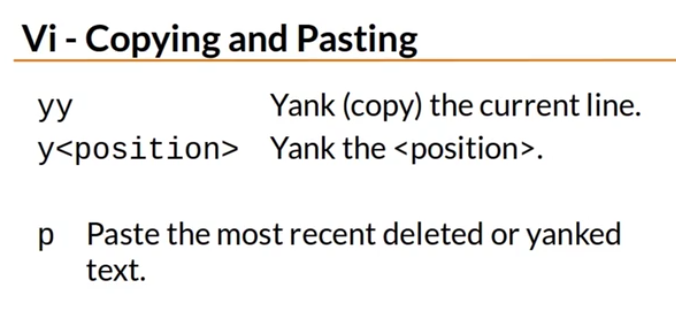 Vi Copying and Pasting